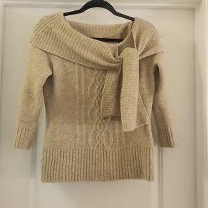 Ann Taylor LOFT sweater